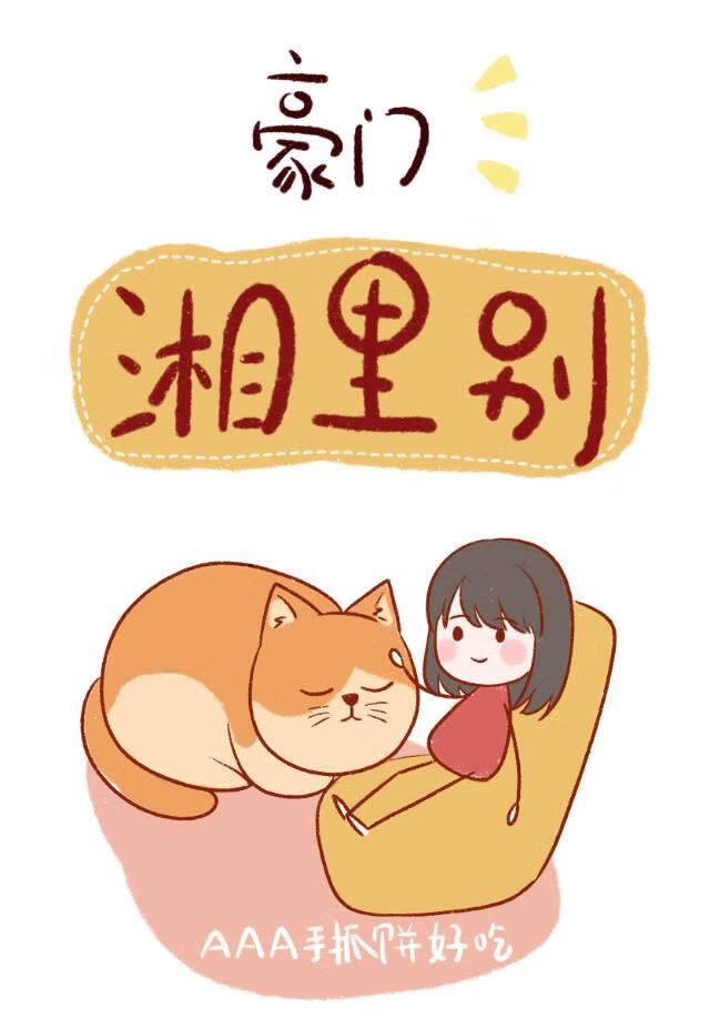 机武风暴笔趣阁