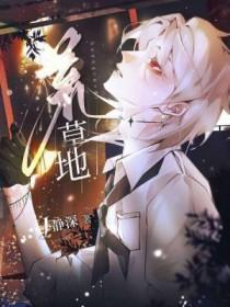梦回红楼