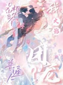 重生九零之华丽甜妻言情